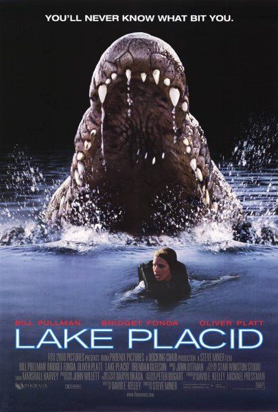 Lake_I swear the movie is better than the poster